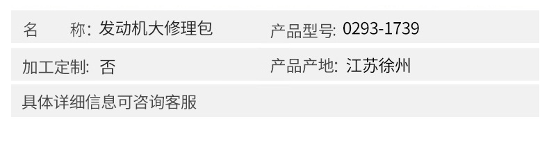 沃爾沃配件 發(fā)動機大修理包0293-1739